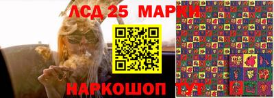 PSILOCYBIN Жуковский