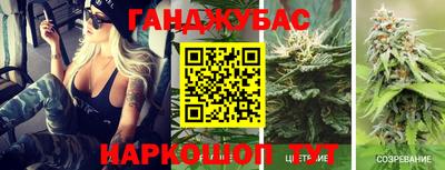 альфа пвп Заводоуковск