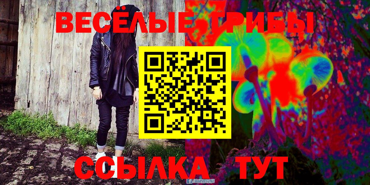 Псилоцибиновые грибы GOLDEN TEACHER Ликино-Дулёво