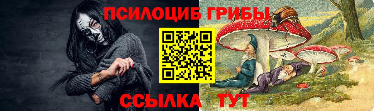 Ликино-Дулёво  продажа наркотиков  Галлюциногенные грибы мицелий  Вход с VPN  Псилоцибиновые грибы прущие грибы 