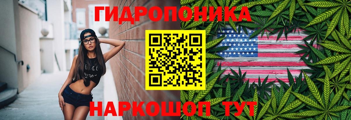 Марихуана сатива Ликино-Дулёво